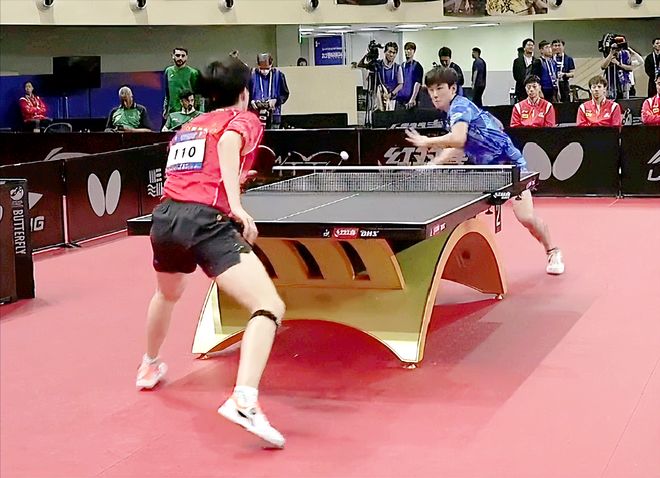 总能表现出 总能表现出